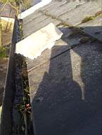fkillineybeforeexternal 1140.jpg